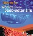  Sperm Whales and Other Deep-Water Life