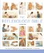 Reflexology Bible: The Definitive Guide to Pressure Point Healing