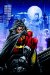  Robin, Search for a Hero