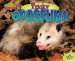  Tricky Opossums