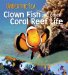  Clown Fish and other Coral Reef Life