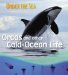  Orca And Other Cold Ocean Creatures