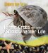  Hermit Crabs and other Shallow-Water Life