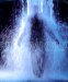  Bill Viola