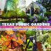  Texas Public Gardens