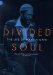  Divided Soul: The Life of Marvin Gaye Library Edition
