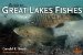  Guide to Great Lakes Fishes
