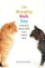  Cat Wrangling Made Easy: Maintaining Peace & Sanity in Your Multicat Home