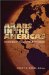  Arabs in the Americas: Interdisciplinary Essays on the Arab Diaspora