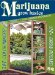  Marijuana Grow Basics: The Easy Guide for Cannabis Aficionados