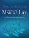  Australian Marine Life: The Plants and Animals of Temperate Waters