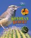 The Sonoran Desert