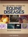  Illustrated Guide to Equine Diseases