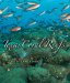  Texas Coral Reefs