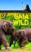  Gaia Wild