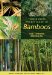  Timber Press Pocket Guide to Bamboos