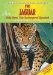 The Jaguar: Help Save This Endangered Species!