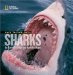  Face to Face With Sharks
