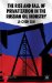 The Rise and Fall of Privatization in the Russian Oil Industry