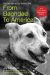  From Baghdad to America: Life Lessons from a Dog Named Lava
