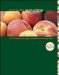  Computer Accounting With Peachtree Complete 2009: Release 16.0