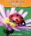  Bugs