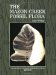 The Mazon Creek Fossil Flora