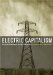  Electric Capitalism: Recolonising Africa on the Power Grid