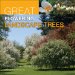  Great Flowering Landscape Trees