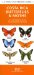  Costa Rica Butterflies & Moths: An Introduction to Familiar Species