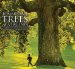  Remarkable Trees of Virginia