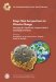  Deep-Time Perspectives on Climate Change: Marrying the Signal from Computer Models and Biological Proxies