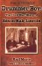  Drummer Boy: The Civil War Diary of Edwin Hale Lincoln