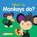  What Do Monkeys Do?