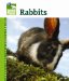  Rabbits