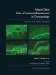  Mayo Clinic Atlas of Immunofluorescence in Dermatology: Patterns And Target Antigens