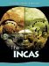 The Incas