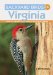  Backyard Birds of Virginia: How to Identify and Attract the Top 25 Birds
