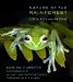  Nature of the Rainforest: Costa Rica and Beyond