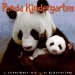  Panda Kindergarten