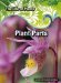  Plant Parts