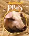  Pigs
