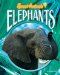  Elephants