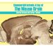  Chemoarchitectonic Atlas of the Mouse Brain