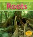  Roots