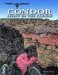  Condor: Spirit of the Canyon