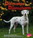  Dalmatas / Dalmatians