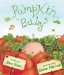  Pumpkin Baby