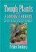  Tough Plants For Florida Gardens: Low Care, No Care, Tried and True Winners