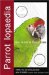  Parrotlopaedia: A Complete Guide to Parrot Care